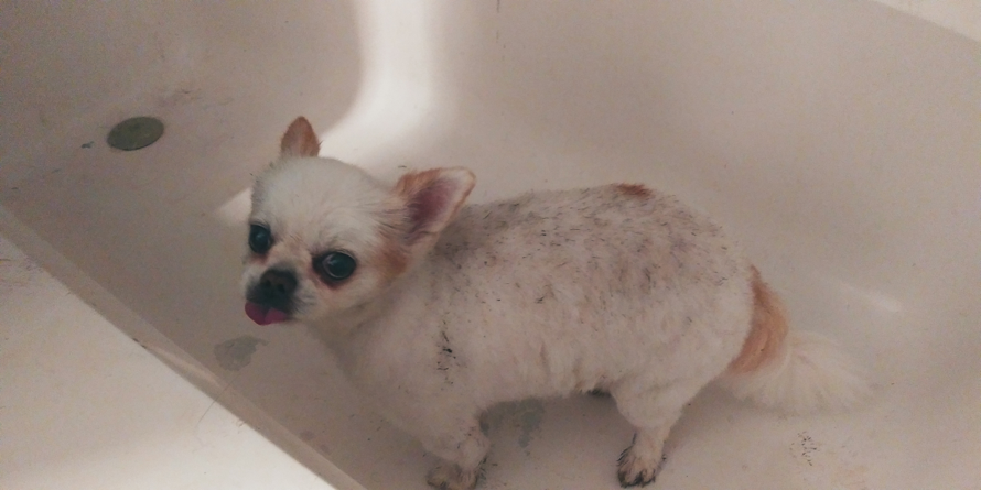 hE DID IT AGAIN HGDTHBDJJDNAAGAYSJH