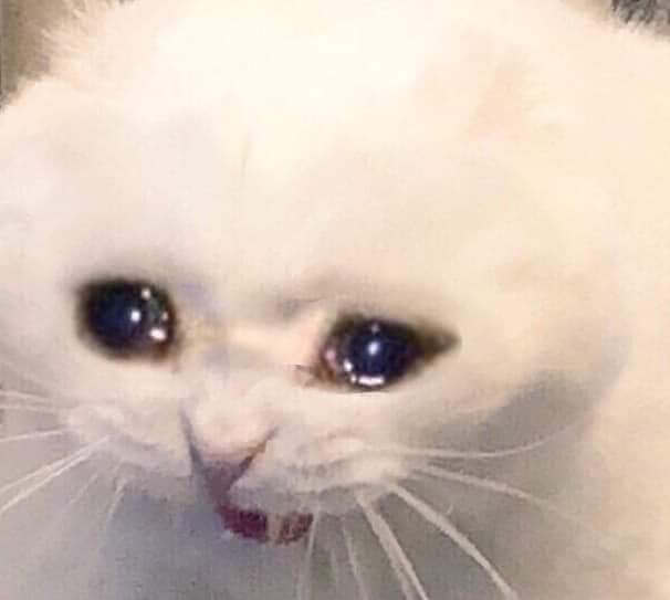 i have about 47k saved up for white day misaki but IM WORRIED IS THAT GOOD ENOUGH SHES JUST COMING...