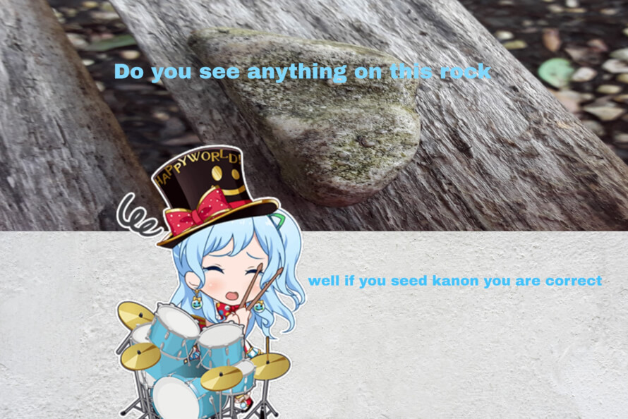 Do you see anything on this rock 