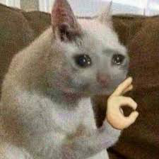 Hello humans! Anyone wanna grind with me for a while? I need to start saving up on stars for future...