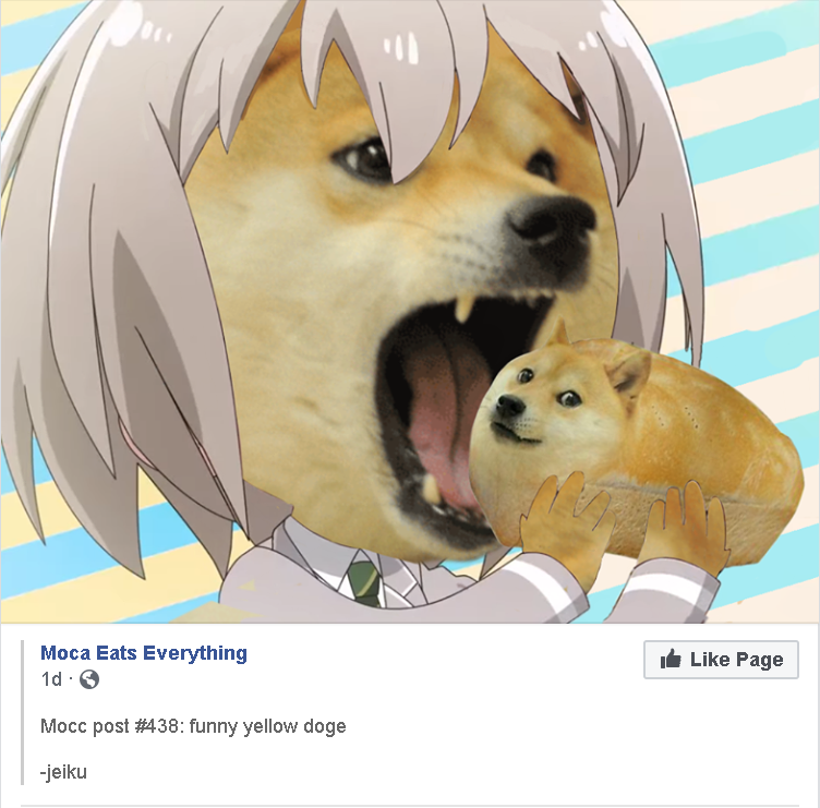   Moca eats bread doge

   

since I can't share from fb here's sauce...