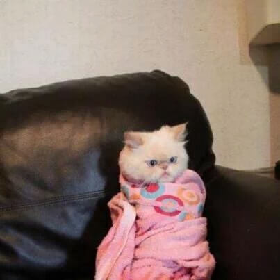 Have you ever been in a rut so badly your full combo/playing skills died because thats been...