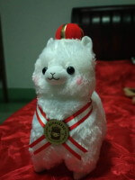 bought a doll last 2 month since I really want it. Now I don't even know what to do with it :/