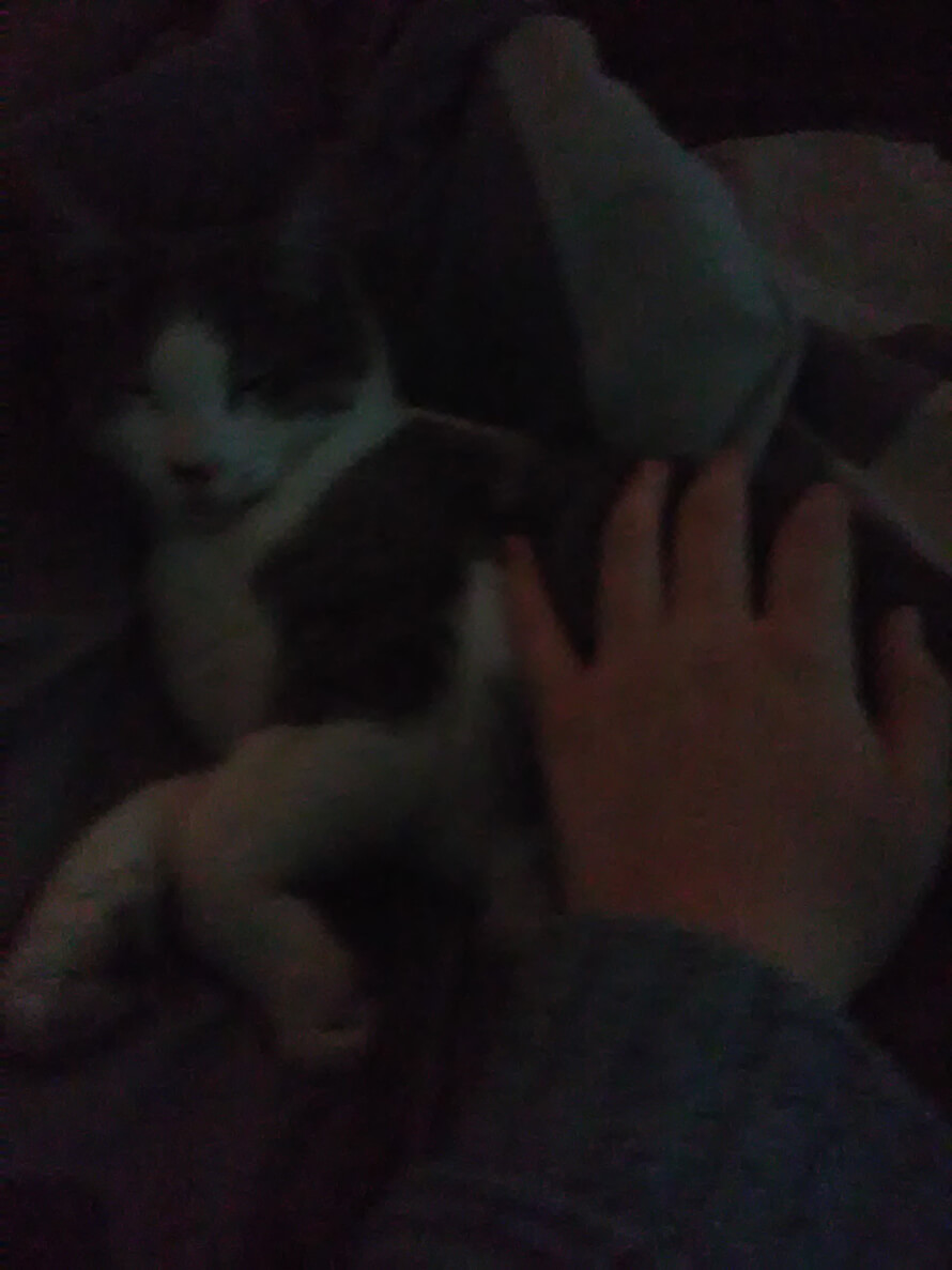 ok so I actually have bad news. don't read this if you don't wanna hear my emotional garbage. I...