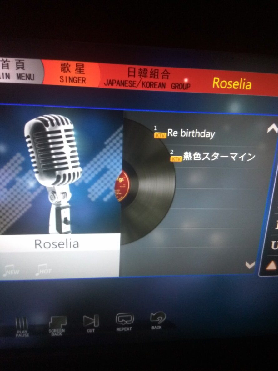 Tfw Malaysia has better karaoke than yours.

Sent by a friend. Much jealous.