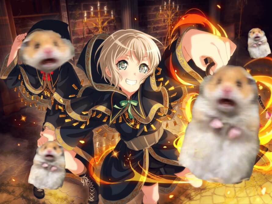 CAN WE STOP WITH THE HAMSTER MEMES ALL READY?