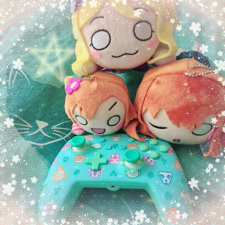 Here is the controller I received from Animal Crossing and here are my Neso love Live

the photo...