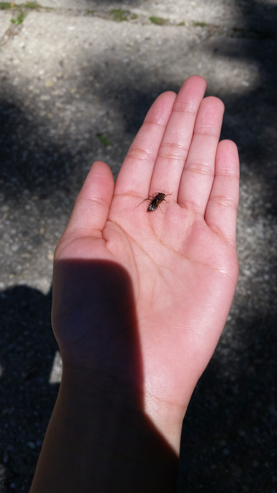   Conquering my fear.  