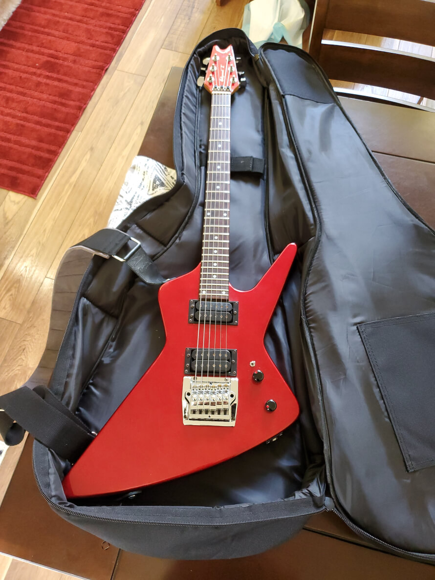 Just got my first electric guitar.
