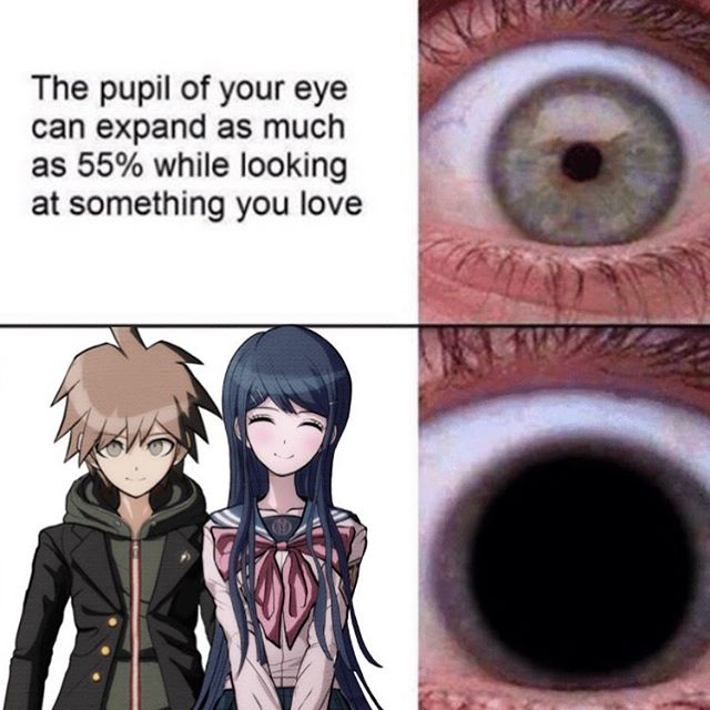   This is about Danganronpa, but... am I the only person here who ships Naezono? They’re my OTP......