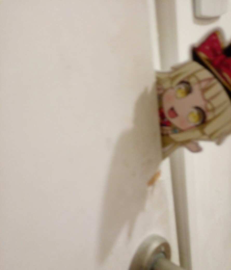 Wait.....what is kokoro doing in my house?