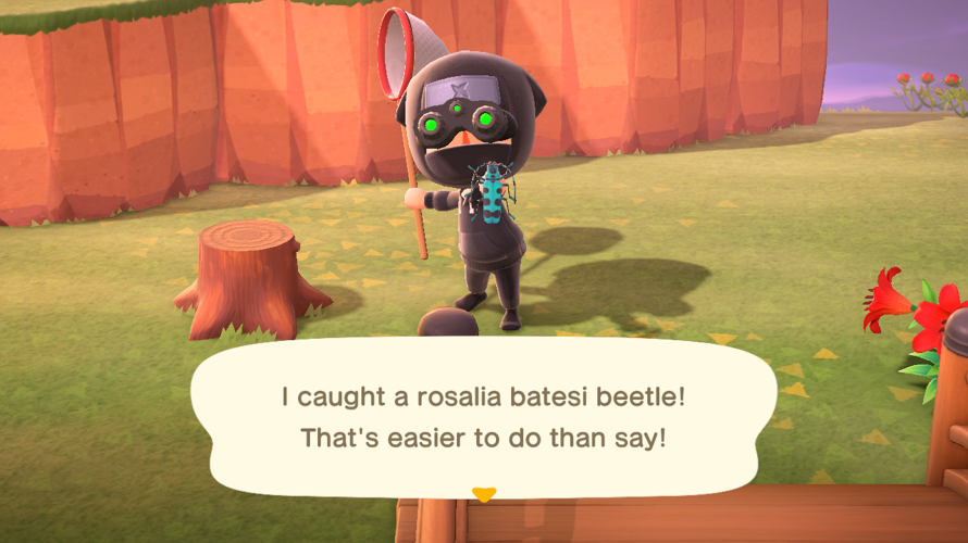 Roselia bug.

       No, this is Roselia bug.