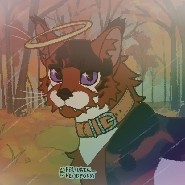 felidaze's cool cat creator｜Picrew