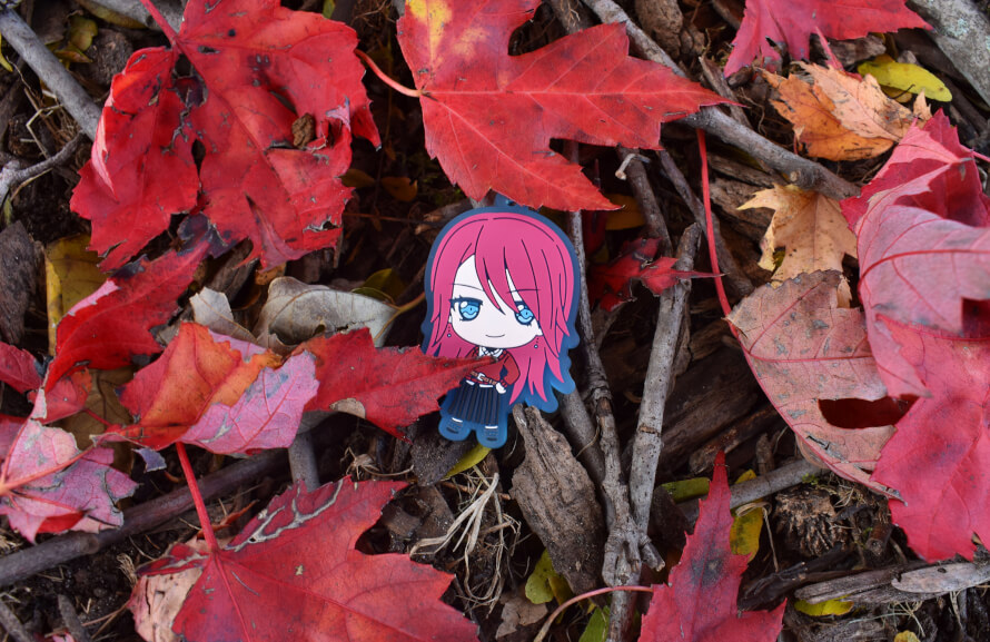 it was really nice out today, so i figured i'd take some pictures for bandori snap!  2/3 