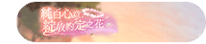 Image (Taiwanese version)