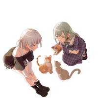 Transparent