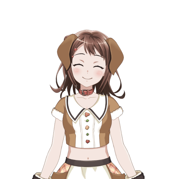 Kasumi Toyama Year of the Dog Costumes list Girls Band Party Bandori Party BanG Dream